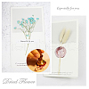 DIY Scrapbook AJEW-WH0100-383-4
