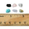 60G 6 Styles Natural & Synthetic  Gemstone Beads Chips G-FS0005-80-5