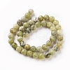 Natural Yellow Turquoise(Jasper) Beads Strands X-G-Q462-10mm-22-2