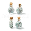 4Pcs Glass Wishing Bottle Decorations PALLOY-JF03100-1