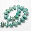 Natural Amazonite Bead Strands G-H038-22-3