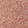 TOHO Round Seed Beads X-SEED-TR11-0631-2