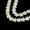 Star Shape Natural Sea Shell Beads Strands SSHEL-F290-18B-1