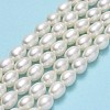 Natural Cultured Freshwater Pearl Beads Strands PEAR-J006-17B-01-2