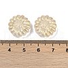 Transparent Glass Beads DGLA-E004-05M-3