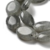 Natural Labradorite Beads Strands G-P528-M10-01-4