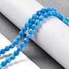 Natural Howlite Beads Strands G-C025-02C-10-2