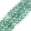 Natural Apatite Beads Strands G-F748-J01-02-1