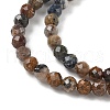 Natural Pietersute Beads Strands G-M449-A01-3mm-4
