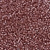 MIYUKI Delica Beads SEED-X0054-DB0913-2