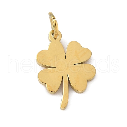 304 Stainless Steel Charms STAS-M120-07C-G-1