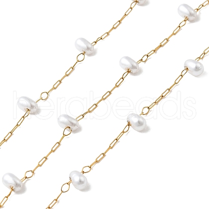 Handmade 304 Stainless Steel Beaded Chains CHS-L031-07G-03-1