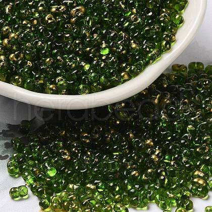 Spray Painted Glass Seed Beads SEED-F005-07A-01-1