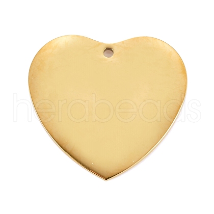 304 Stainless Steel Pendants STAS-L238-099B-G-1