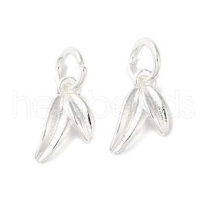 Long-Lasting Plated Brass Charms KK-K381-08S-1