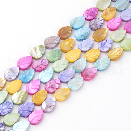 Natural Freshwater Shell Beads X-SHEL-Q008-06-1