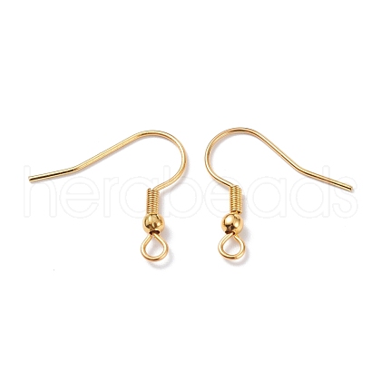 304 Stainless Steel Earring Hooks STAS-T031-17G-1