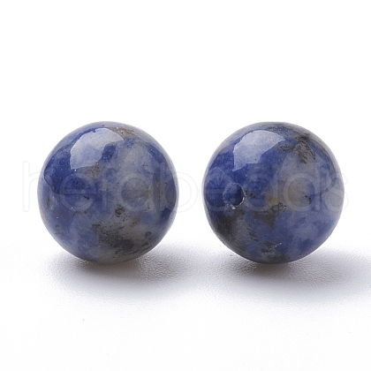 Natural Blue Spot Jasper Beads G-S288-01-10mm-1