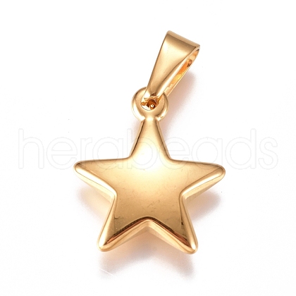 304 Stainless Steel Pendants STAS-I135-25G-1
