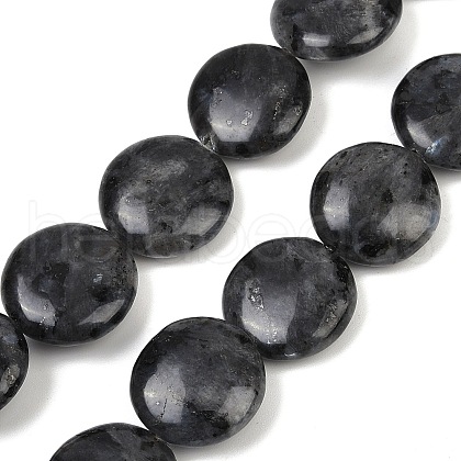 Natural Larvikite Beads Strands G-U018-I08-01-1