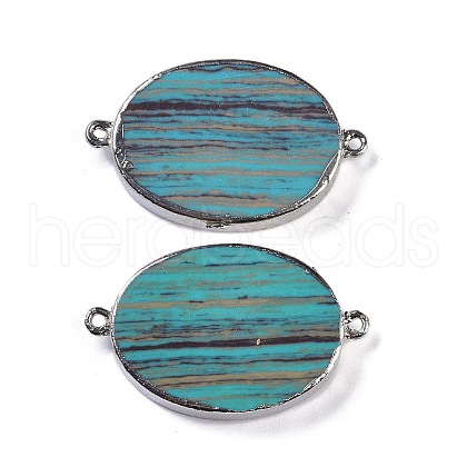 Synthetic Picture Jasper Dyed Connector Charms KK-F868-19P-01-1