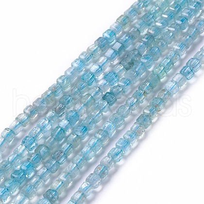 Natural Apatite Beads Strands G-G991-C03-1