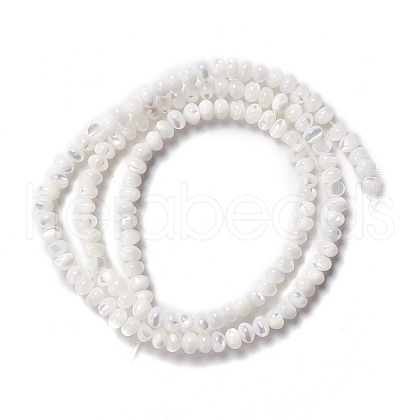 Natural Trochid Shell/Trochus Shell Beads Strands SSHEL-O001-24B-02-1