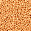 6/0 Glass Seed Beads SEED-L011-08A-19-3