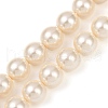 Shell Pearl Beads Strands BSHE-XCP0001-62A-1