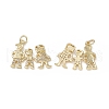 Brass Micro Pave Cubic Zirconia Pendants KK-E068-VB117-1