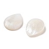 Natural Freshwater Shell Cabochons SHEL-D082-01A-2