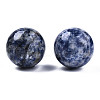 Natural Blue Spot Jaspere Display Decorations G-Q361-010-2