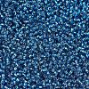 MIYUKI Round Rocailles Beads X-SEED-G007-RR0025-3