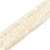 Natural White Shell Beads Strands SHEL-M021-03B-1