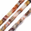 Natural Crazy Lace Agate Beads Strands G-S299-142-1
