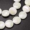 Natural Trochid Shell/Trochus Shell Beads Strands SSHEL-K016-02-3