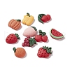 Opaque Resin Decoden Cabochons X-RESI-G031-16-1