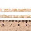 Natural Trochid Shell/Trochus Shell Beads Strands SSHEL-N040-12-4