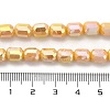 Electroplate Glass Beads Strands EGLA-D030-06D-4