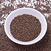 MIYUKI Delica Beads SEED-X0054-DB0340-2