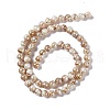 Drawbench Style Natural Freshwater Shell Beads Strands X-SHEL-F003-10B-3