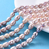 Natural Cultured Freshwater Pearl Beads Strands PEAR-N012-07H-5
