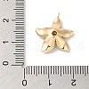 Brass Enamel Pendants KK-S368-13G-02-3