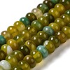 Natural Agate Beads Strands G-H295-C03-13-2