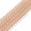 Transparent Glass Beads Strands EGLA-A034-T8mm-MD20-1