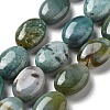 Natural Indian Agate Beads Strands G-P528-M27-01-1