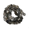 Natural Labradorite Beads Strands G-Q060-E20-02-3