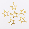 201 Stainless Steel Charms STAS-F162-13G-1