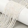 Natural White Topaz Beads Strands G-RM241221-B17-5