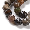 Natural Petrified Wood Beads Strands G-NH0021-A12-01-4